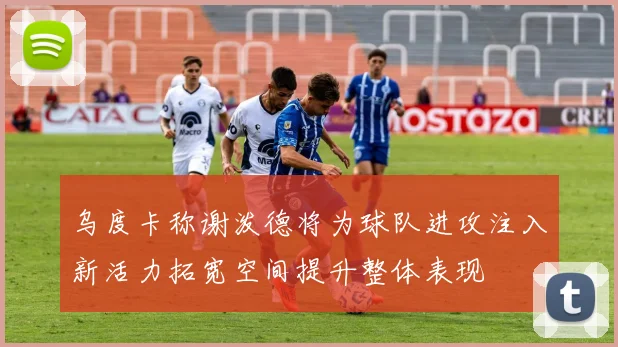 乌度卡称谢泼德将为球队进攻注入新活力拓宽空间提升整体表现
