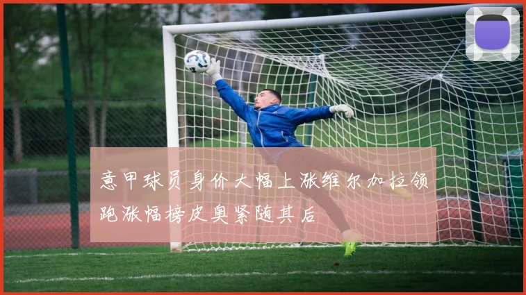 意甲球员身价大幅上涨维尔加拉领跑涨幅榜皮奥紧随其后